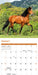 Horses 2026 Mini Wall Calendar