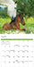 Horses 2026 Mini Wall Calendar