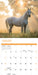 Horses 2026 Square Wall Calendar
