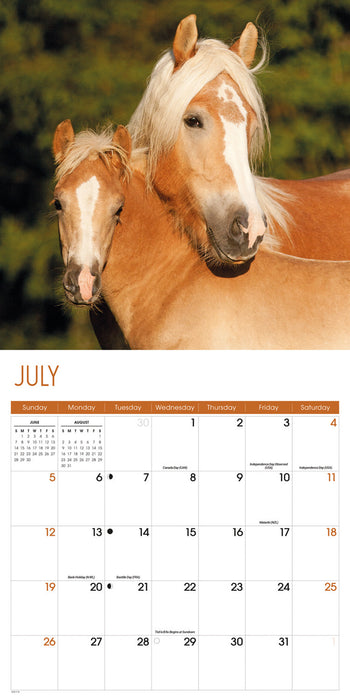 Horses 2026 Square Wall Calendar