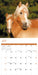 Horses 2026 Square Wall Calendar
