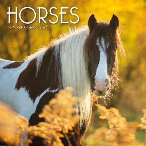 Horses 2026 Square Wall Calendar