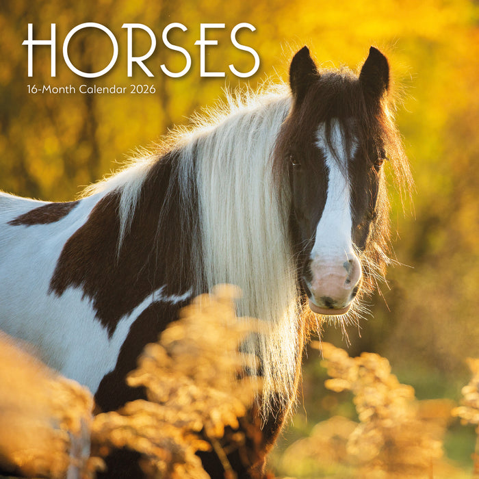 Horses 2026 Square Wall Calendar