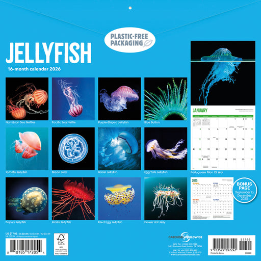 Jellyfish 2026 Square Wall Calendar