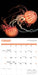 Jellyfish 2026 Square Wall Calendar