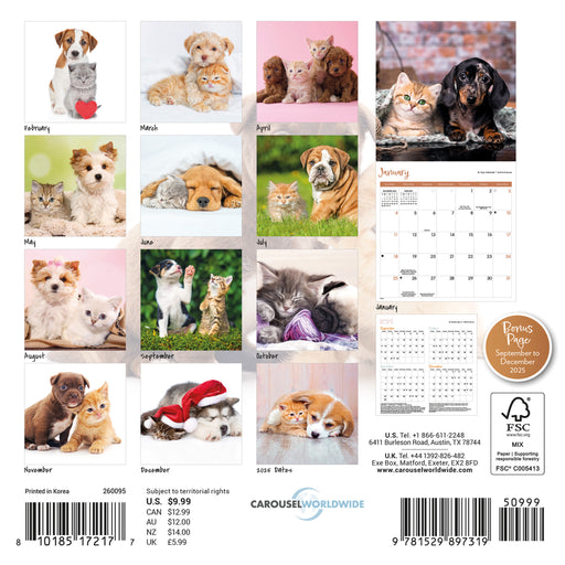 Kittens and Puppies 2026 Mini Wall Calendar