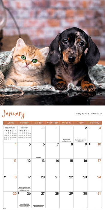 Kittens and Puppies 2026 Mini Wall Calendar