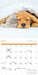 Kittens and Puppies 2026 Mini Wall Calendar