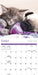 Kittens and Puppies 2026 Mini Wall Calendar