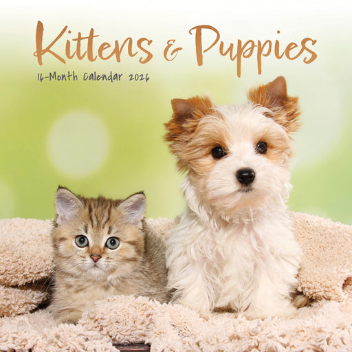 Kittens and Puppies 2026 Mini Wall Calendar