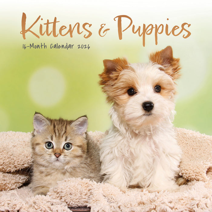 Kittens and Puppies 2026 Mini Wall Calendar