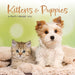 Kittens and Puppies 2026 Mini Wall Calendar