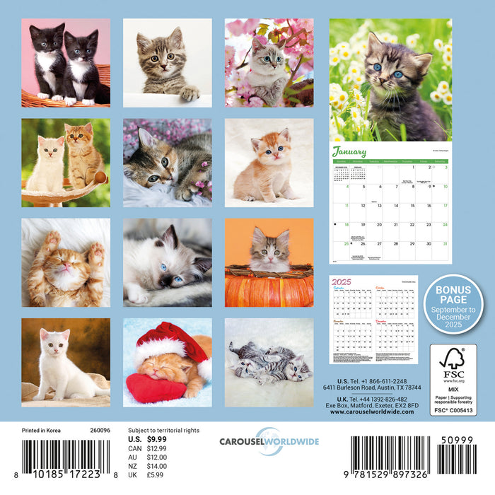 Kittens 2026 Mini Wall Calendar