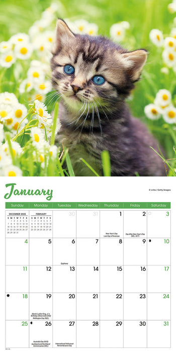Kittens 2026 Mini Wall Calendar