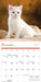 Kittens 2026 Mini Wall Calendar