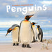 Penguins 2026 Square Wall Calendar