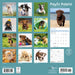 Playful Puppies 2026 Square Wall Calendar