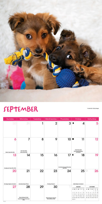 Playful Puppies 2026 Square Wall Calendar