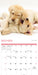 Playful Puppies 2026 Square Wall Calendar