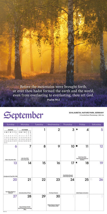 Psalms 2026 Mini Wall Calendar