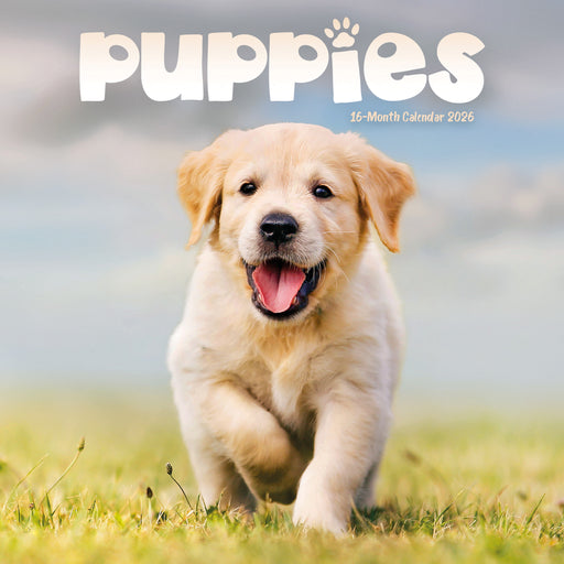 Puppies 2026 Mini Wall Calendar
