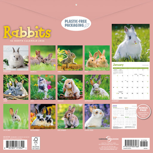 Rabbits 2026 Square Wall Calendar