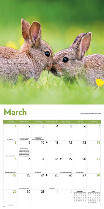 Rabbits 2026 Square Wall Calendar