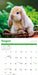 Rabbits 2026 Square Wall Calendar
