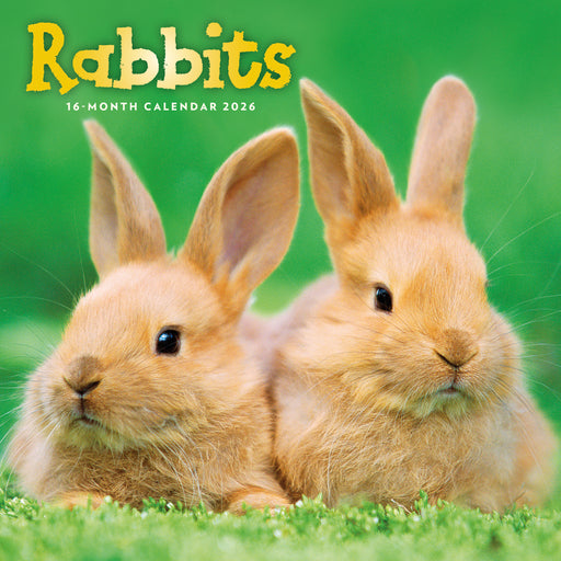 Rabbits 2026 Square Wall Calendar