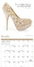 Shoes 2026 Mini Wall Calendar