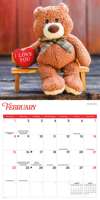 Teddy Bears 2026 Square Wall Calendar