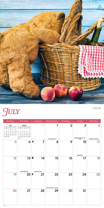 Teddy Bears 2026 Square Wall Calendar