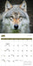 Wolves 2026 Square Wall Calendar