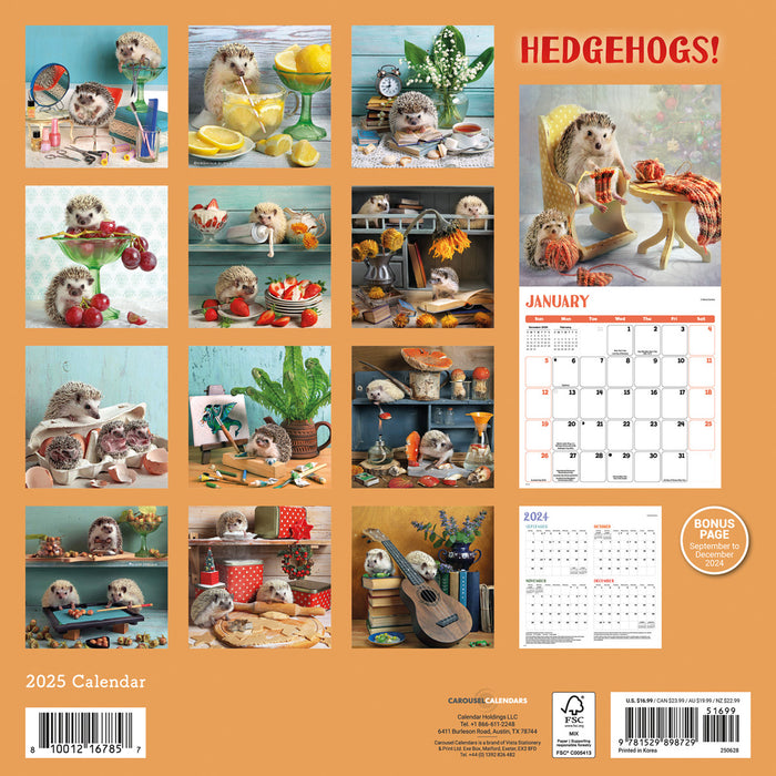 2025 Hedgehogs! Wall Calendar