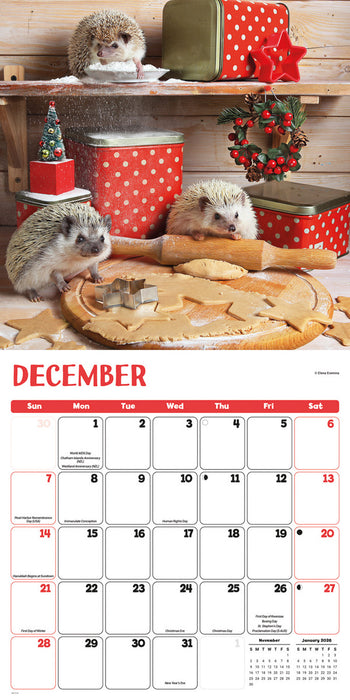 2025 Hedgehogs! Wall Calendar