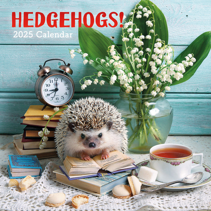 2025 Hedgehogs! Wall Calendar