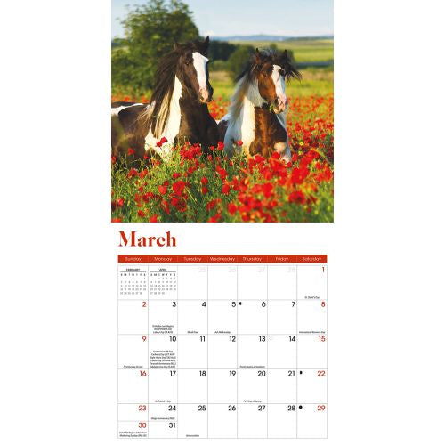 2025 Horses Mini Wall Calendar