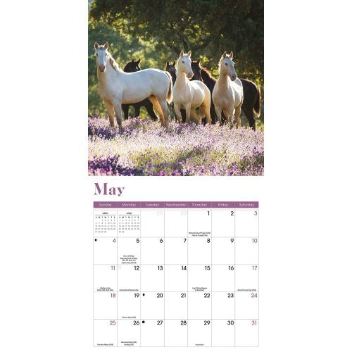 2025 Horses Mini Wall Calendar