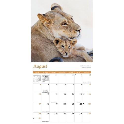 2025 Baby Animals Wall Calendar