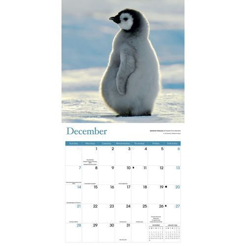 2025 Baby Animals Wall Calendar