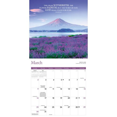 2025 Bible Verses Wall Calendar