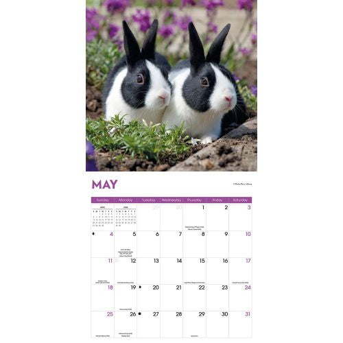 2025 Rabbits Wall Calendar