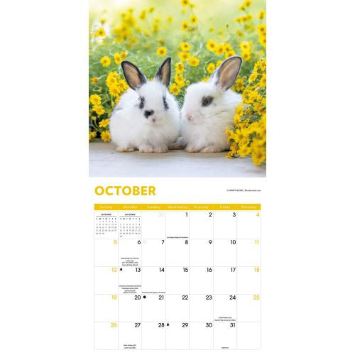 2025 Rabbits Wall Calendar