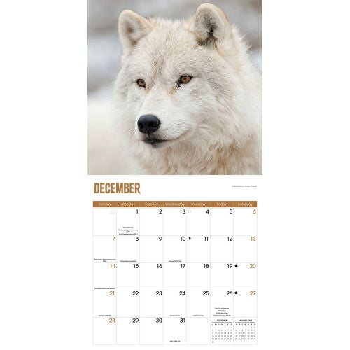 2025 Wolves Wall Calendar