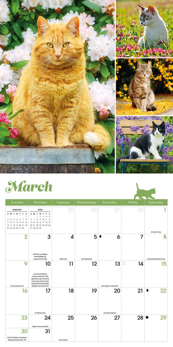 2025 Cat Lovers Wall Calendar