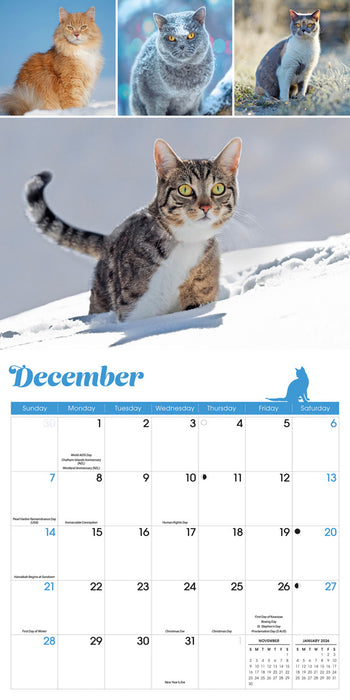 2025 Cat Lovers Wall Calendar