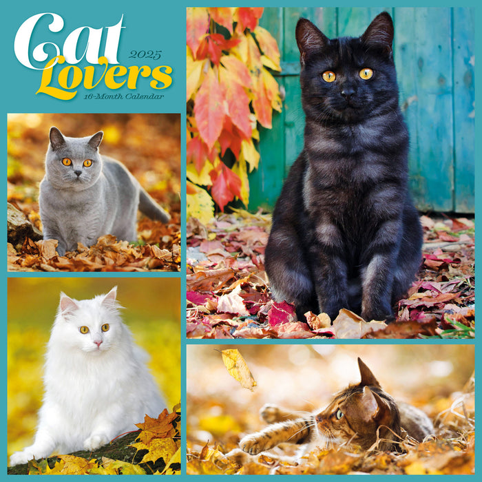 2025 Cat Lovers Wall Calendar