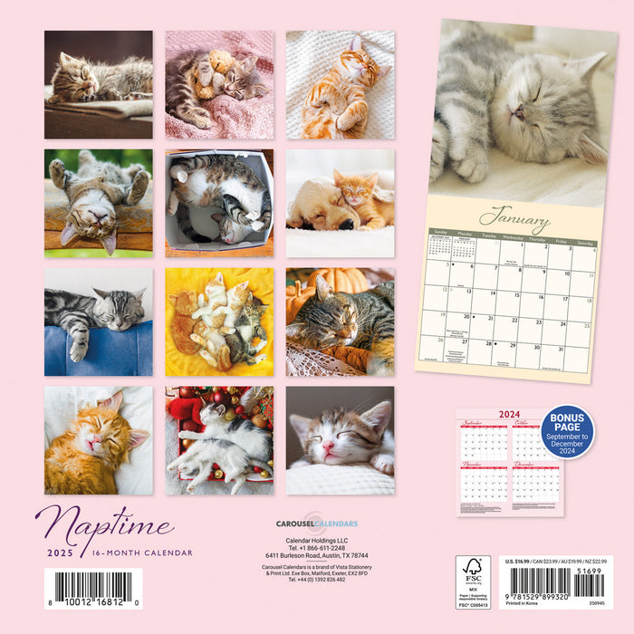 2025 Naptime Wall Calendar