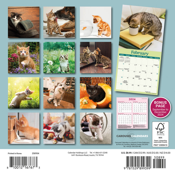 2025 Curious Kittens Mini Wall Calendar