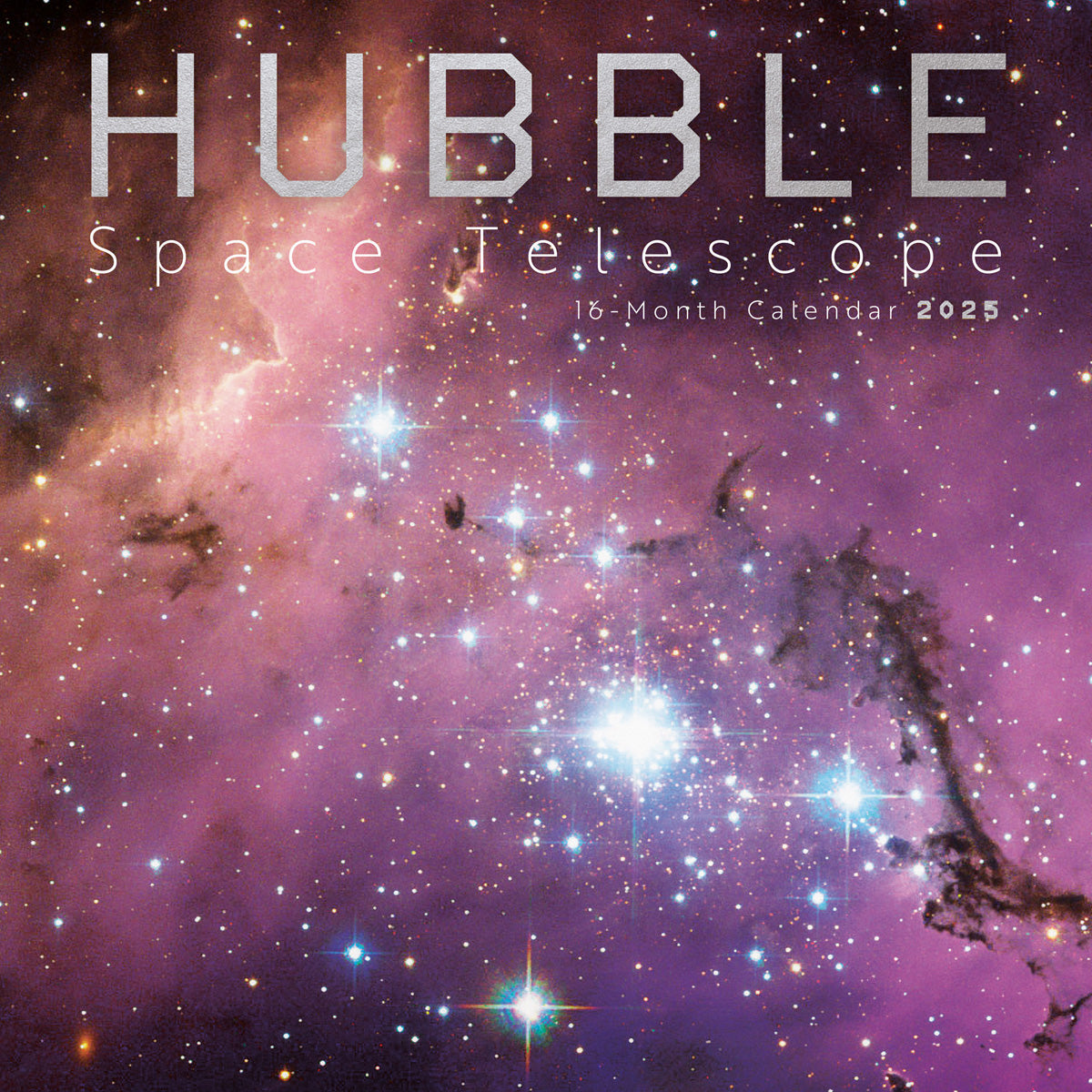 Calendar Club 2025 Hubble Space Telescope Wall Calendar